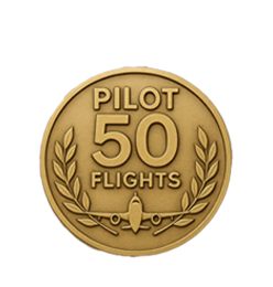 When a pilot has 50 flights, give this award