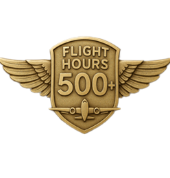 When a pilot has +500 hours flights